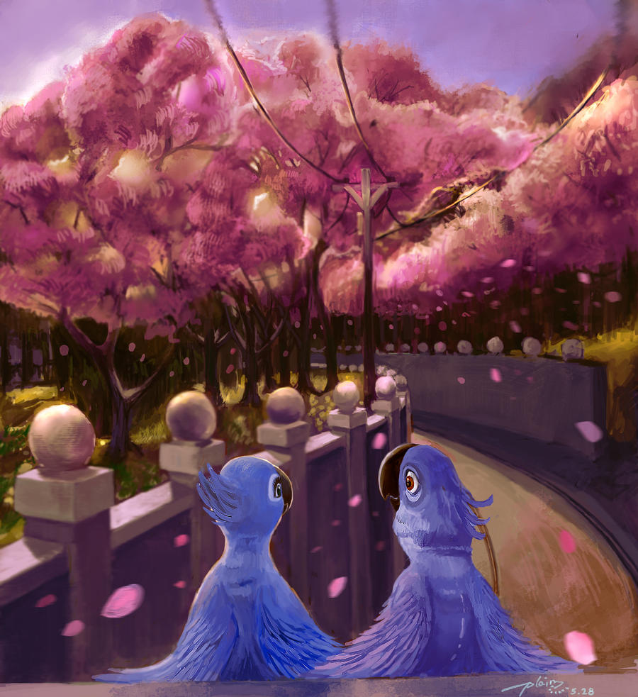 Dreamworks Rio Deviantart the RIO by Plainandplain on DeviantArt