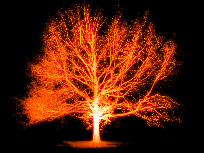 Burning tree by beingstoned on DeviantArt