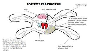 Anatomy of a Phantom- Animal Jam (OLD)