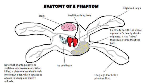 Anatomy of a Phantom- Animal Jam (OLD)
