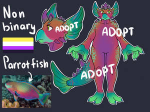 Adopt Auction OPEN