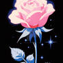 Pink Rose