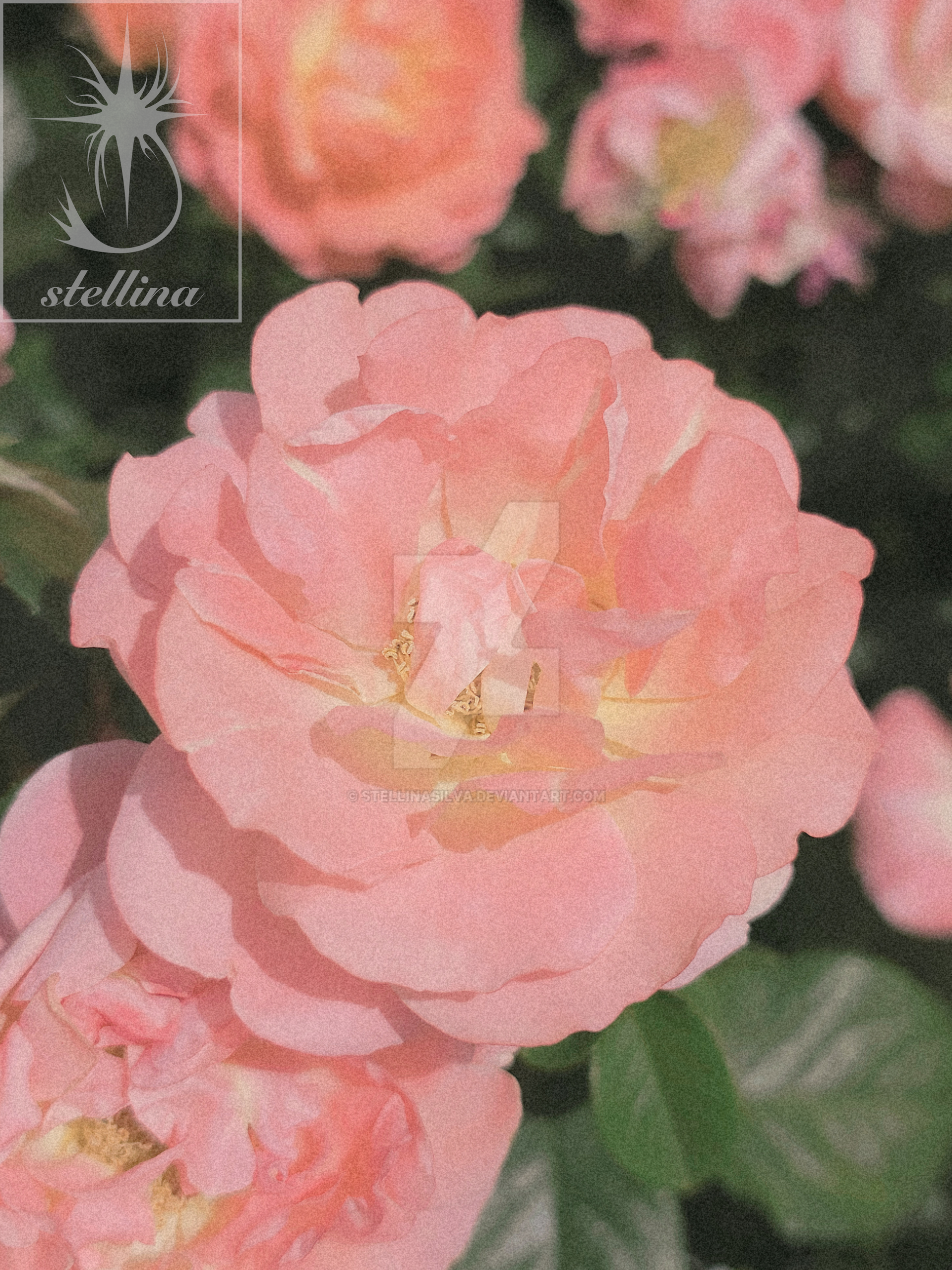 Peach Glow