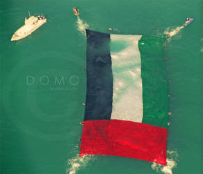 UAE flag