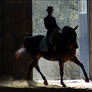 Silhouette of a horse II