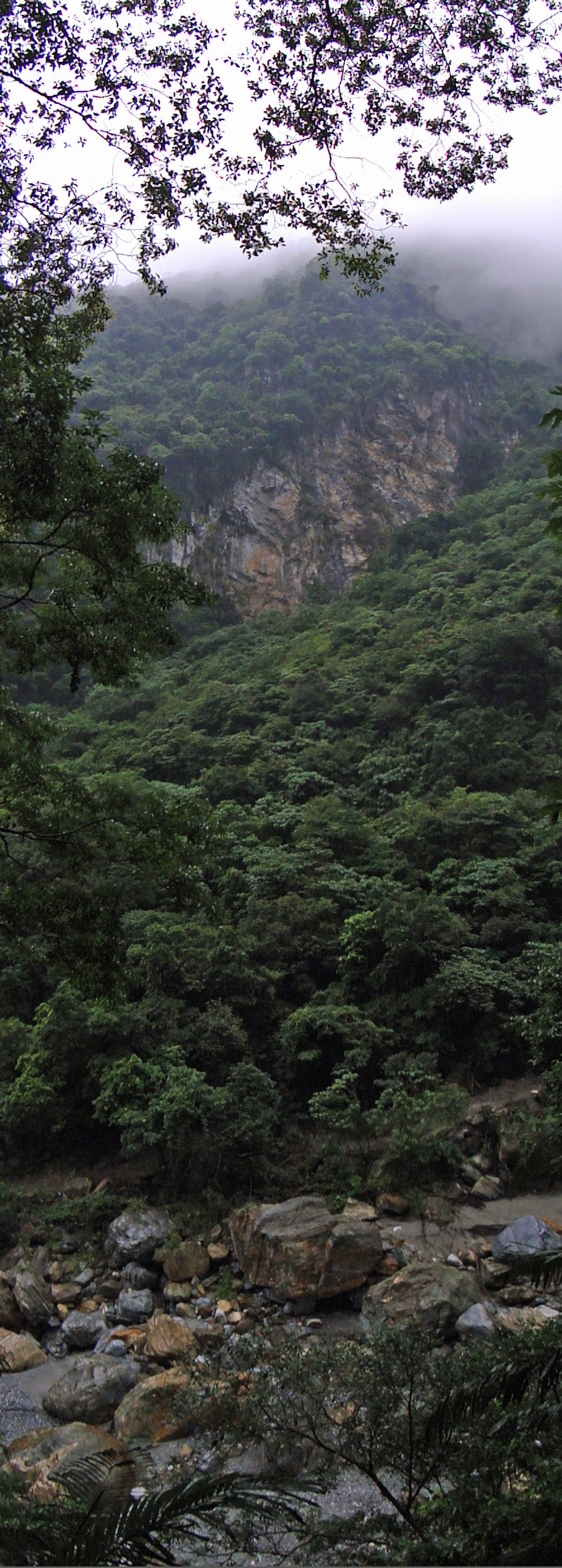 Taroko