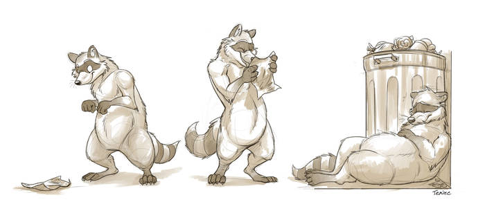 Animal Proportion Practice (Raccoon)