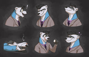 Commission: Mizu's Expression Sheet