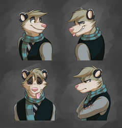 Commission: Diego's Expression Sheet