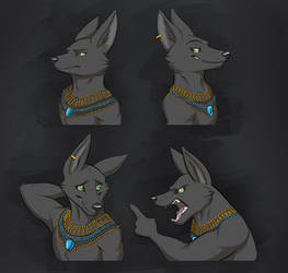 Commission: Anubis's Son Expression Sheet