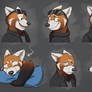 Commission: Justin's Expression Sheet