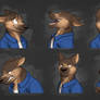 Commission: Storm's Expression Sheet