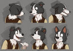 Commission: Goodspeed's Expression Sheet