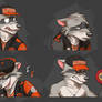Commission: Rocky's Expression Sheet #2