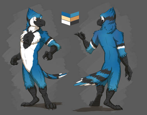 Commission: Blinx's Reference Sheet
