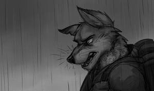 Rainy Wolf