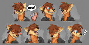 Commission: Elan Azlo's Expression Sheet