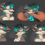 Commission: Takkin's Expression Sheet