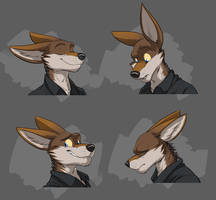 Commission: Sancar's Expression Sheet