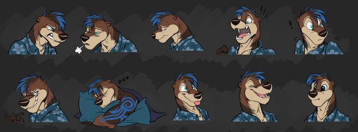 Commission: Alex's Expression Sheet