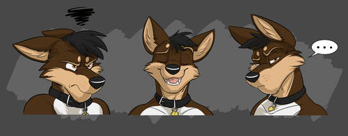 Commission: Rocko's Expression Sheet