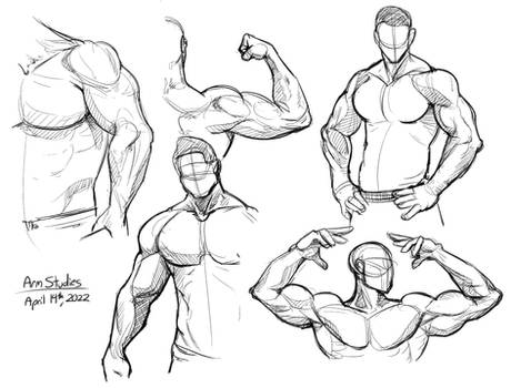 Arm Studies (April 14th, 2022)