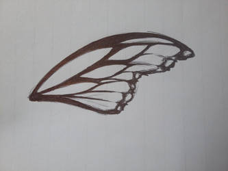 Butterfly wing practice