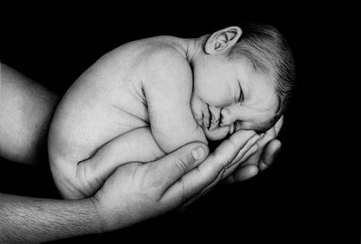 Baby Cradled in Dad's Hands - Bic Ballpoint Pen