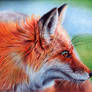 Vixen - Ballpoint Pen