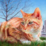Ginger Cat - Ballpoint Pen