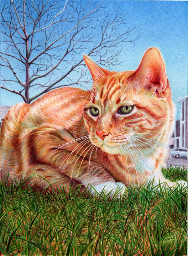Ginger Cat - Ballpoint Pen