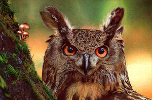 Eurasian Eagle-Owl - Ballpoint Pen