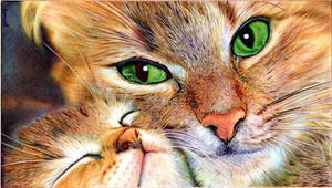 Mother cat and Kitten - Ballpoint Pen