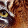 Tiger Eyes - Ballpoint Pen