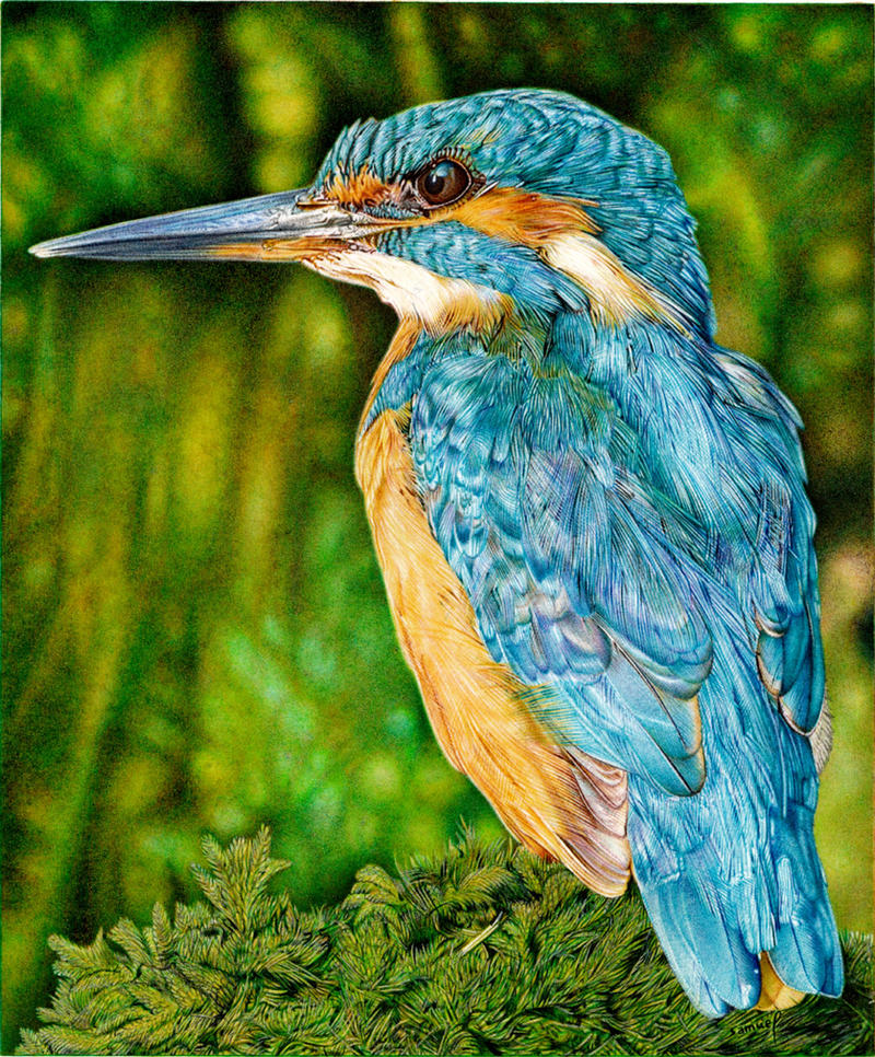 KingFisher - Ballpoint Pen