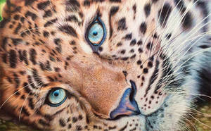 Leopard - Ballpoint Pen