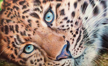 Leopard - Ballpoint Pen