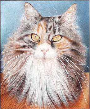 Fluffy Cat - Ballpoint Pen