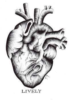 Lively (Mostly) Anatomical Heart