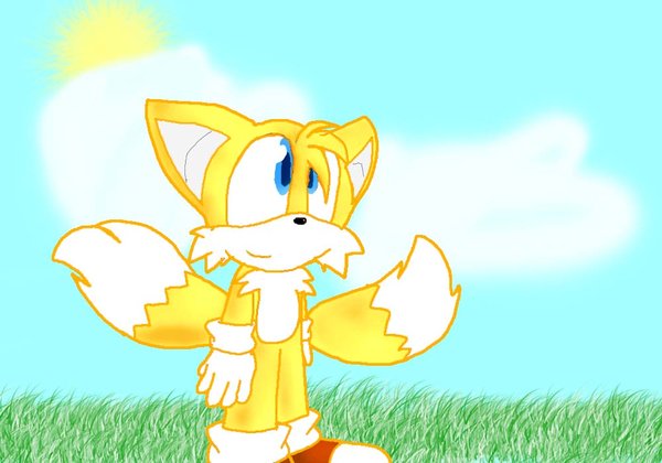 Tails - HeidiTheCat