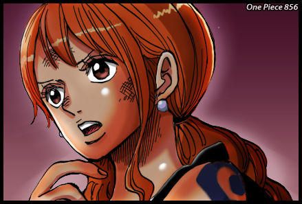 What is this Nami? (1058) : r/MemePiece