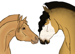 Breedpic: Slow and Steady by MatrixPotato