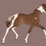 0183 Foal Design