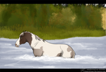 Di: Across The Water by MatrixPotato