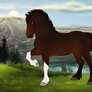 diRPG | Jasper | Lead Stallion | RETIRED