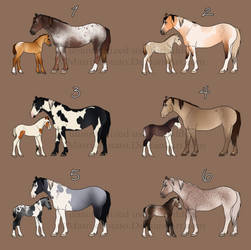 Mare and Foal Adopts 2 CLOSED