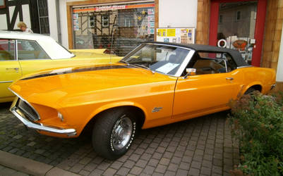 Orange Mustang 2