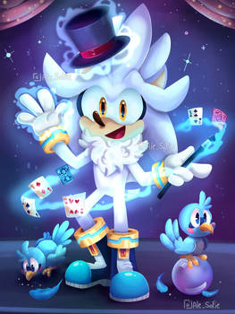 Magic with silver the hedgehog.