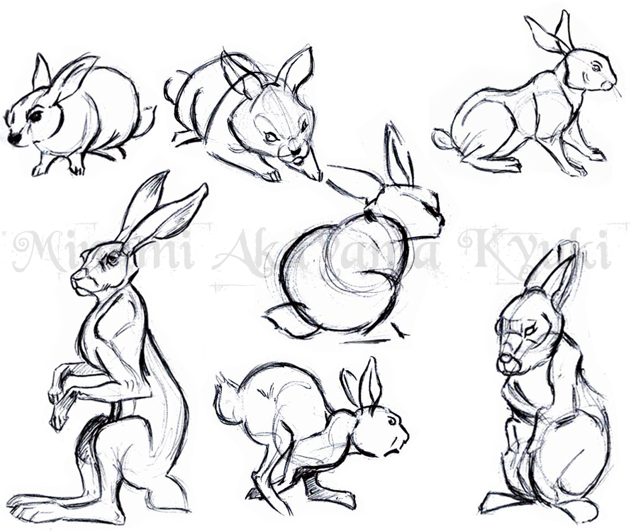 Animal Studies . Rabbits by Sorren-Chan on DeviantArt Animal Studies . Rabbits by Sorren-Chan on DeviantArt
