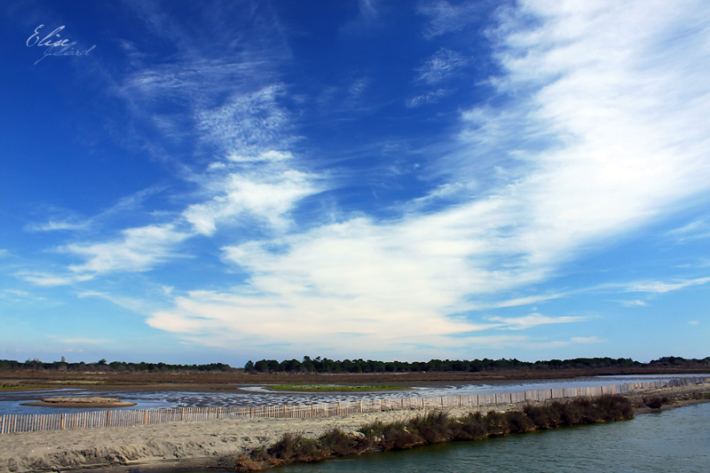 Camargue